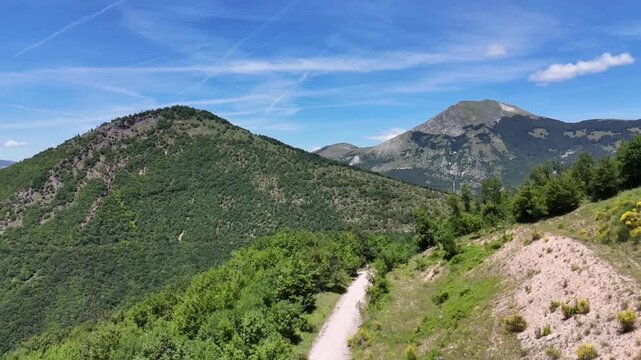 Panorama montano dal Monte Petria nelle Marche, con una chiara vista sulle vette dell'Appennino marchigiano e su un sentiero sterrato che attraversa i pendii verdi