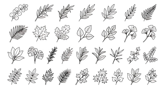 Minimalist hand drawn leaf icons set, collection of 32 botanical line art foliage vectors, black and white organic plant leaf sketches for logo design