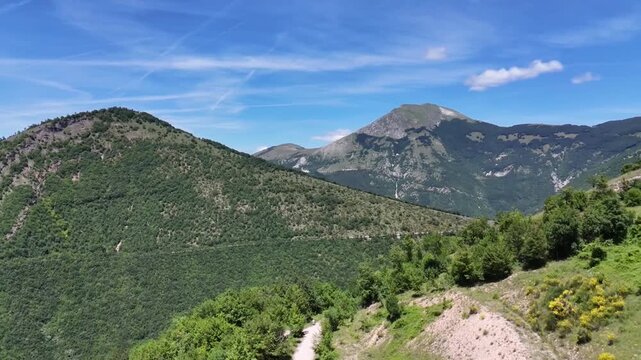 Panorama montano dal Monte Petria nelle Marche, con una chiara vista sulle vette dell'Appennino marchigiano e su un sentiero sterrato che attraversa i pendii verdi