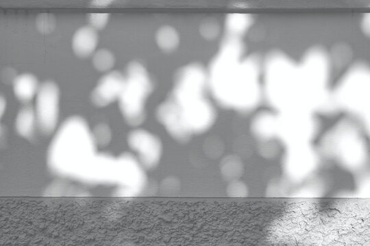 Light and shadow, showcasing the dappled sunlight filtered through palm fronds onto a textured, light-colored surface. Natural leaf shadows on white wall for background design for text. 