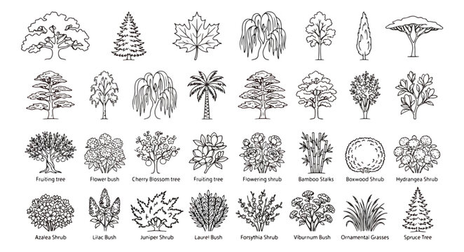 Minimalist line art tree and shrub icons, set of 32 botanical vector illustrations, black and white garden plant symbols for landscape design
