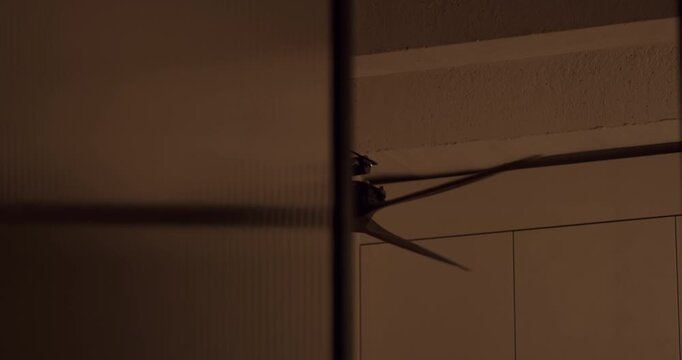 Dark ceiling fan spinning slowly in a dimly lit room, creating a cooling breeze and casting dynamic shadows on the wall, creating a moody and atmospheric scene with a focus on interior comfort