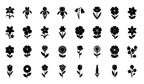 Minimal Spring Garden Flower Silhouette Icons with Floral Plant Symbol Vector Collection