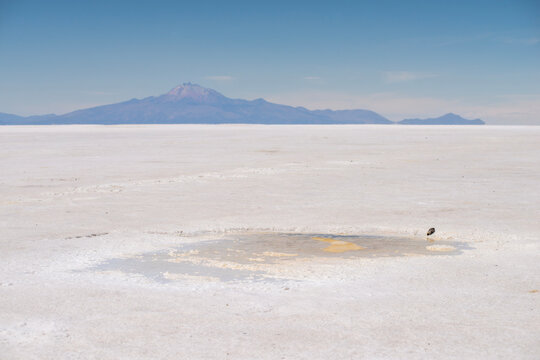 salt flats landscape