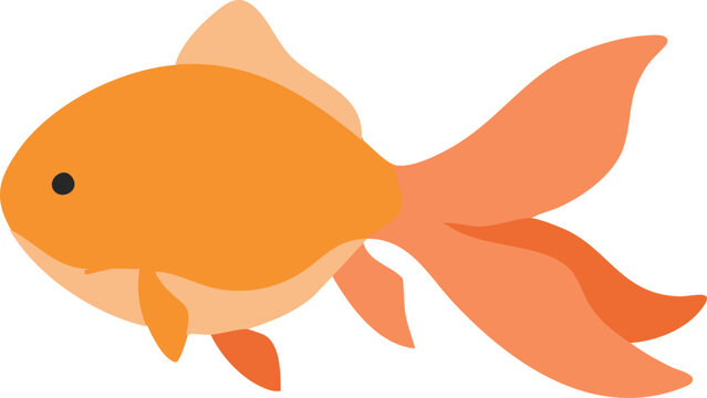 Orange goldfish side view illustration