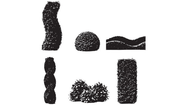 Assortment of sculpted topiary plants for garden and landscape design.