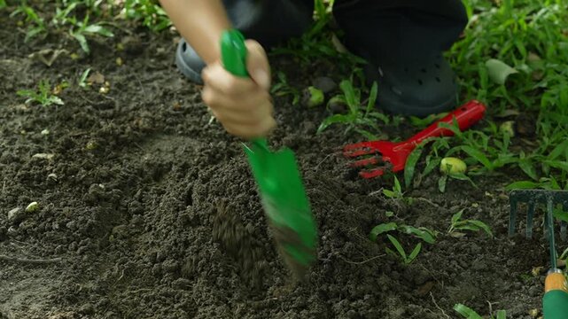 A gardener plants a young sapling in fertile soil with a shovel at sunrise, symbolizing sustainability, environmental protection, biodiversity, and a greener future.