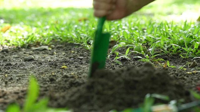 A gardener plants a young sapling in fertile soil with a shovel at sunrise, symbolizing sustainability, environmental protection, biodiversity, and a greener future.