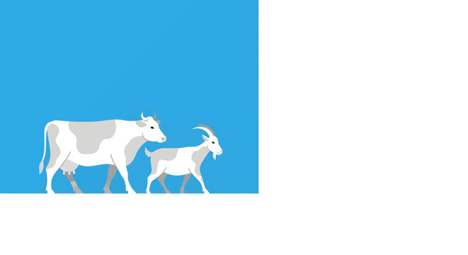 A simple graphic illustration of a white cow and a white goat with grey markings walking side by side on a white ground against a blue and white background.