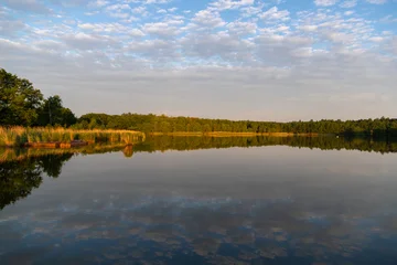 Scenic view of Chaika Lake at sunrise reflecting a beautiful cloudy sky and surrounded by green forest, Curonian Spit © castenoid