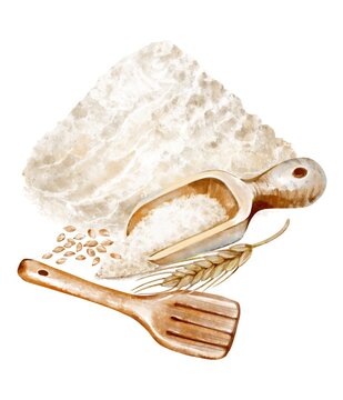 Watercolor baking collection with a pile of white wheat flour, wooden scoop, flat wooden spatula, wheat ear and grain kernels. Rustic farmhouse ingredients isolated on white background