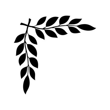 Hand drawn vintage floral borders, frames, dividers with flowers, branches and leaves. Trendy greenery elements in line art style.