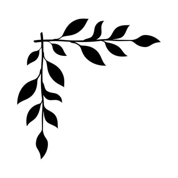 Hand drawn vintage floral borders, frames, dividers with flowers, branches and leaves. Trendy greenery elements in line art style.