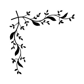 Hand drawn vintage floral borders, frames, dividers with flowers, branches and leaves. Trendy greenery elements in line art style.