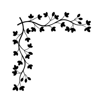 Hand drawn vintage floral borders, frames, dividers with flowers, branches and leaves. Trendy greenery elements in line art style.