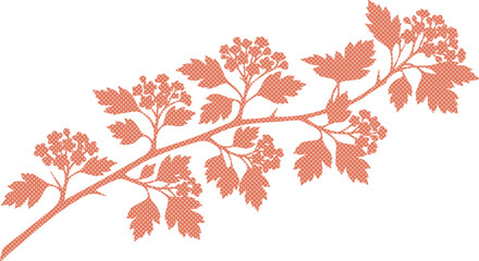 Delicate botanical hawthorn branch vector, elegant floral illustration, natural plant design element, organic berry and leaf graphic for branding isolated on White Background © Abida