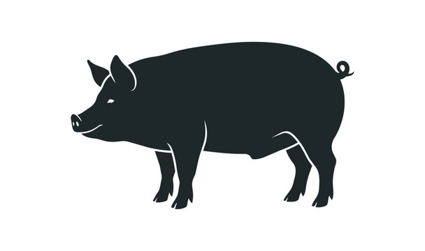 Silhouette of a black pig standing on a white background.