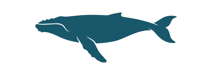 Fototapeta premium Silhouette of a majestic humpback whale swimming gracefully in the ocean.