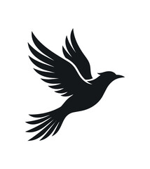 Fototapeta premium Silhouette of a Bird in Flight with Wings Spread Wide.
