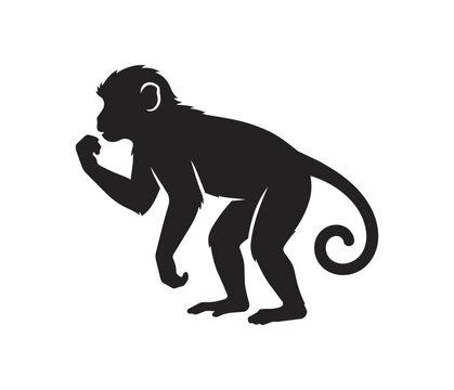 Silhouette of a monkey in a thoughtful pose.