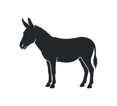Silhouette of a Donkey Standing Still.