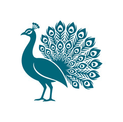 Fototapeta premium Elegant Teal Peacock Displaying Its Magnificent Plumage.