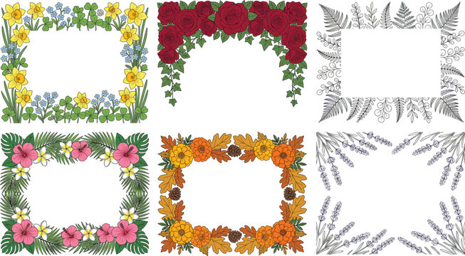 Vintage watercolor seasonal borders vector frame set with 6 elegant spring daffodil rose arch tropical hibiscus and autumn oak leaf graphics