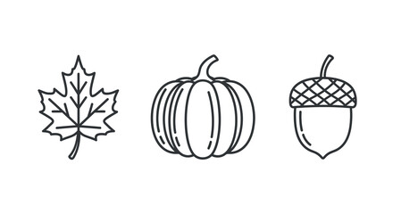 Maple leaf pumpkin and acorn line illustrations on a white background © DELRUBA
