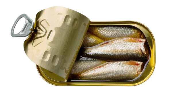 Opened tin can with sardines in oil