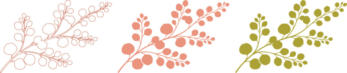 Minimalist botanical branch vector set, three elegant floral designs, delicate leaf and berry illustrations, natural organic graphic elements for branding and decor isolated on White Background © Ambreen