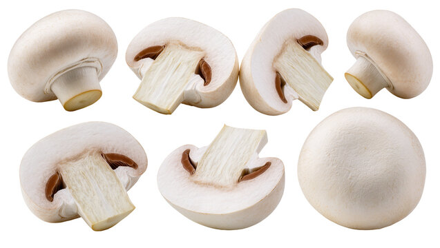 White button mushrooms whole and halved, showing gills and stem