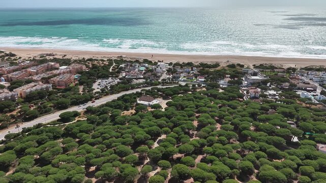 Aerial view of Cadiz coastal town bordered by pine forest and Atlantic Ocean waves