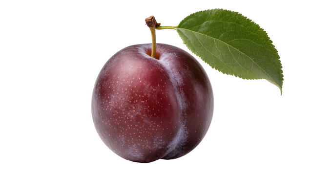 Ripe plum with green leaf and stem