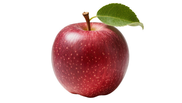 Red apple with stem and leaf