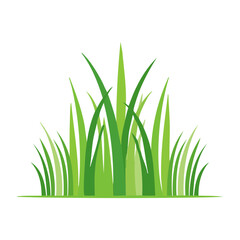 Fototapeta premium Flat design green grass illustration