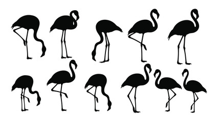 Black flamingo silhouettes in various poses © Iftekhar