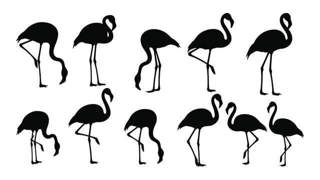 Black flamingo silhouettes in various poses