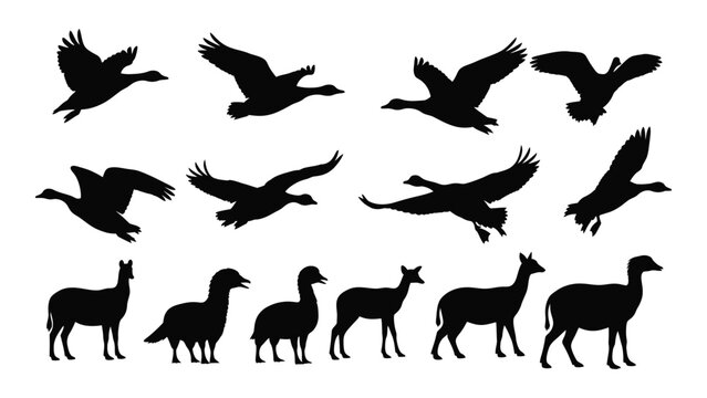 Black silhouettes of geese and llamas