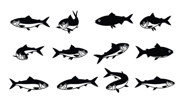 Black fish silhouettes on white background