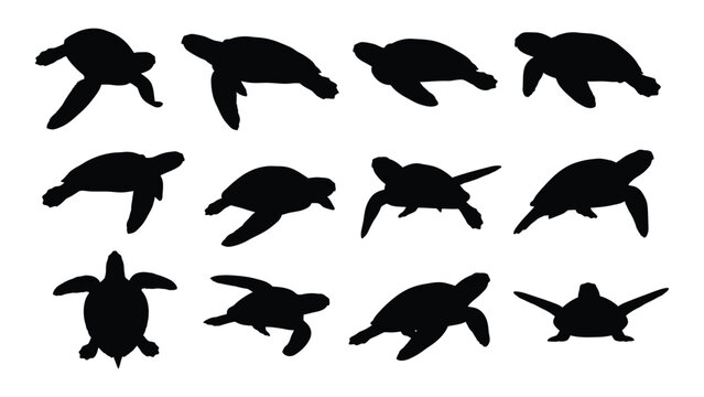 Black sea turtle silhouettes