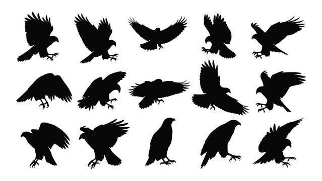 Black silhouette eagle bird flying collection