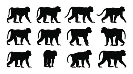 Monkey silhouettes walking in different poses © Iftekhar