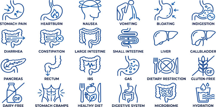 A collection of blue medical digestive system health icons set presented as vector on transparent background