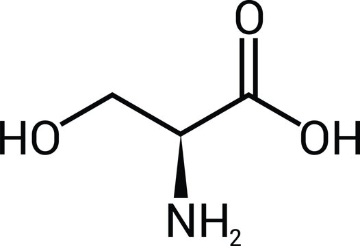 L Serine Chemical Structure Proteinogenic Amino Acid Molecule Diagram