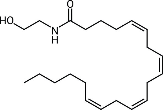 Anandamide Chemical Structure Endocannabinoid Neurotransmitter Molecule Diagram