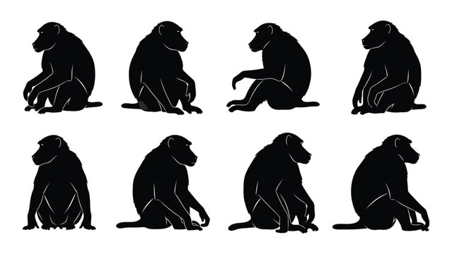 Set of monkey silhouettes in different poses