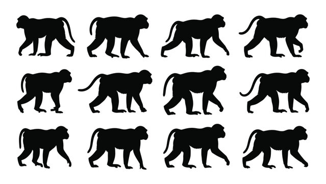 Black lion silhouettes walking in different positions