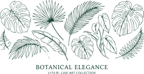 Botanical elegance, luxury line art collection, hand-drawn tropical leaves vector set, exotic jungle foliage illustrations for design projects isolated on White Background © Ambreen