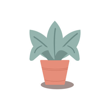 Illustration of Green Leafy Plant in Terracotta Pot Minimalist Style
