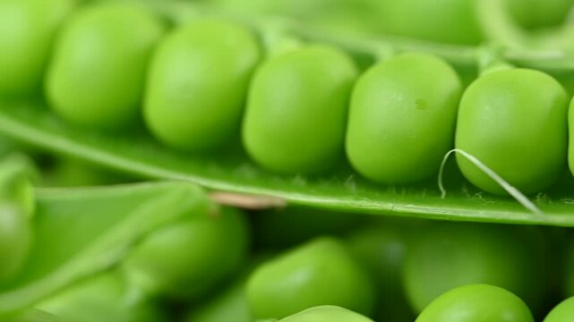 video of young green peas